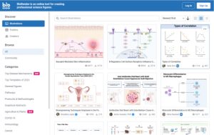 BioRender 図解イメージ