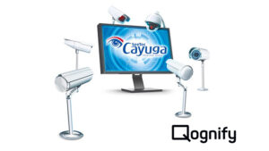 Cayuga