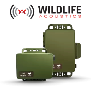 Song Meter Bat Recorders (ソングメーター)