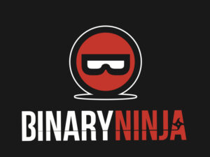 Vector 35 BinaryNinja