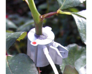Sap Flow Sensors